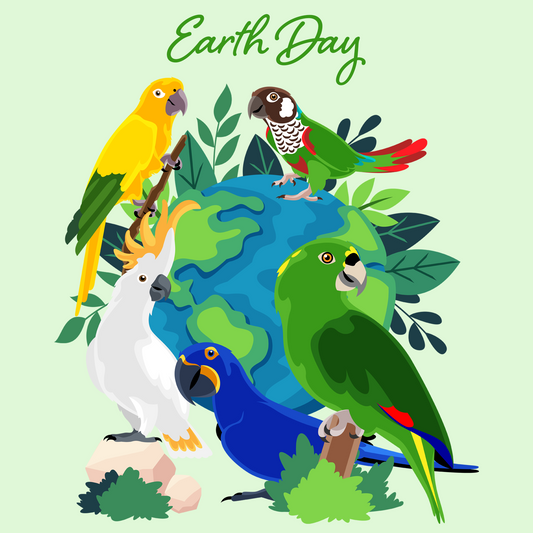 Celebrating Earth Day: A Call to Preserve Our Feathered Friends and Their Habitats