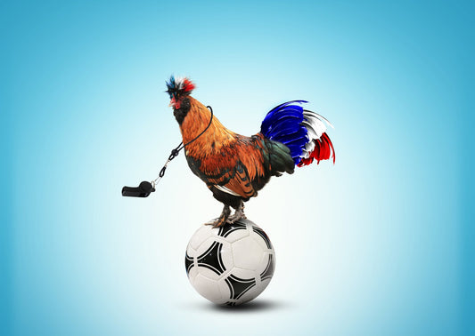 The National Birds Of All 32 Countries In The World Cup