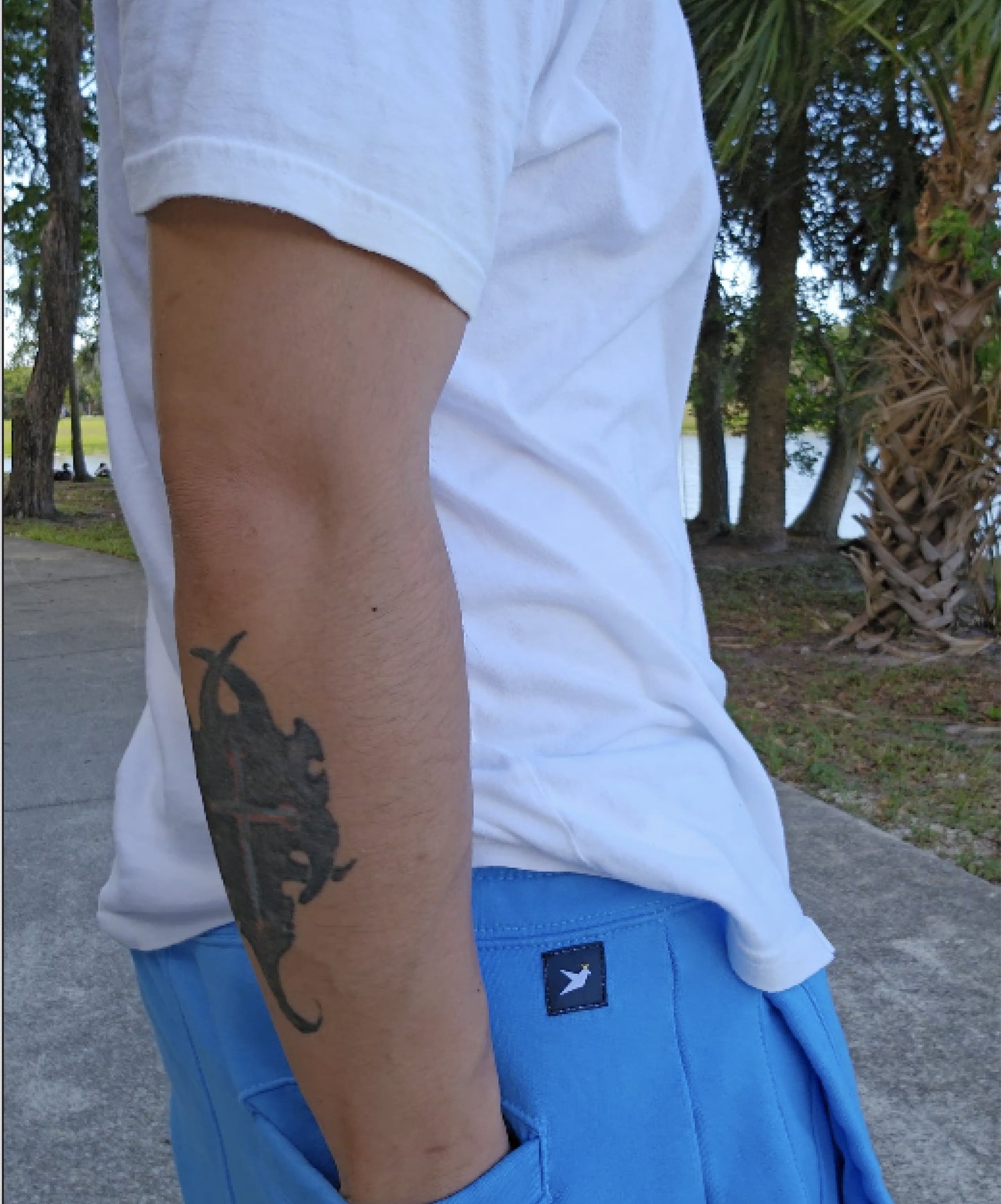 Spix Macaw - Organic Cotton Unisex Sweatpants - Beakwings