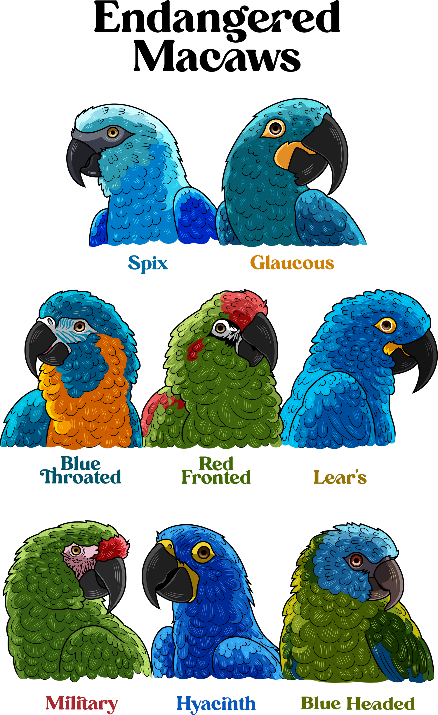 Endangered Macaws Collection