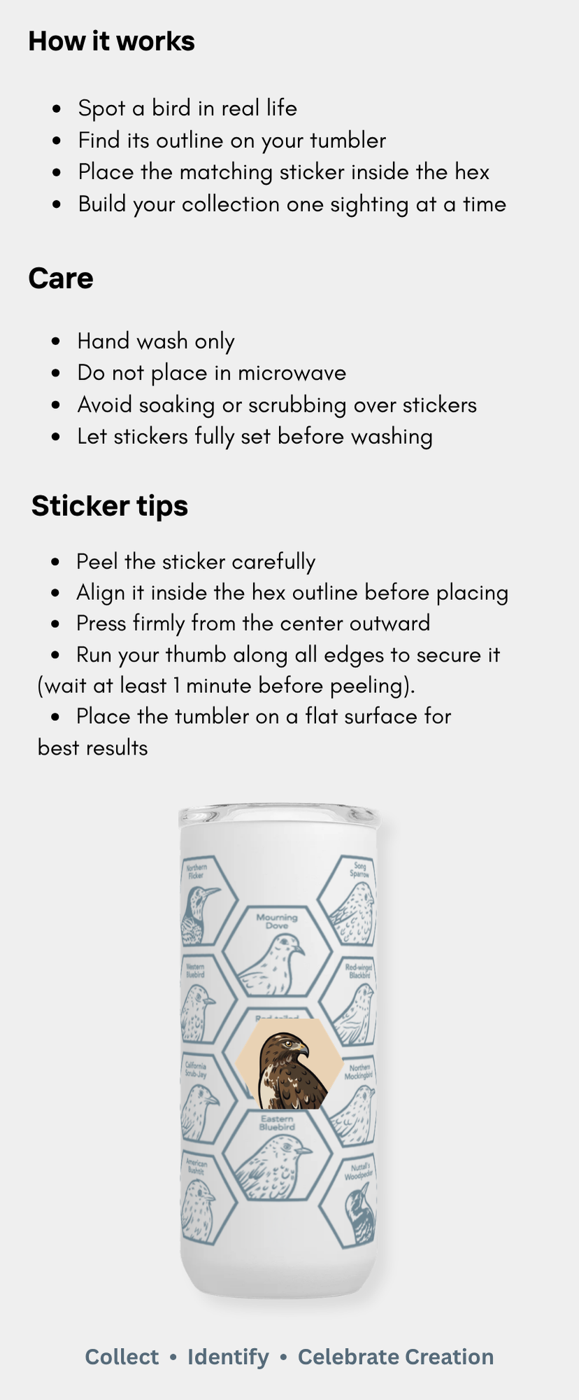 The Spotter Tumbler — Backyard Birds of the USA