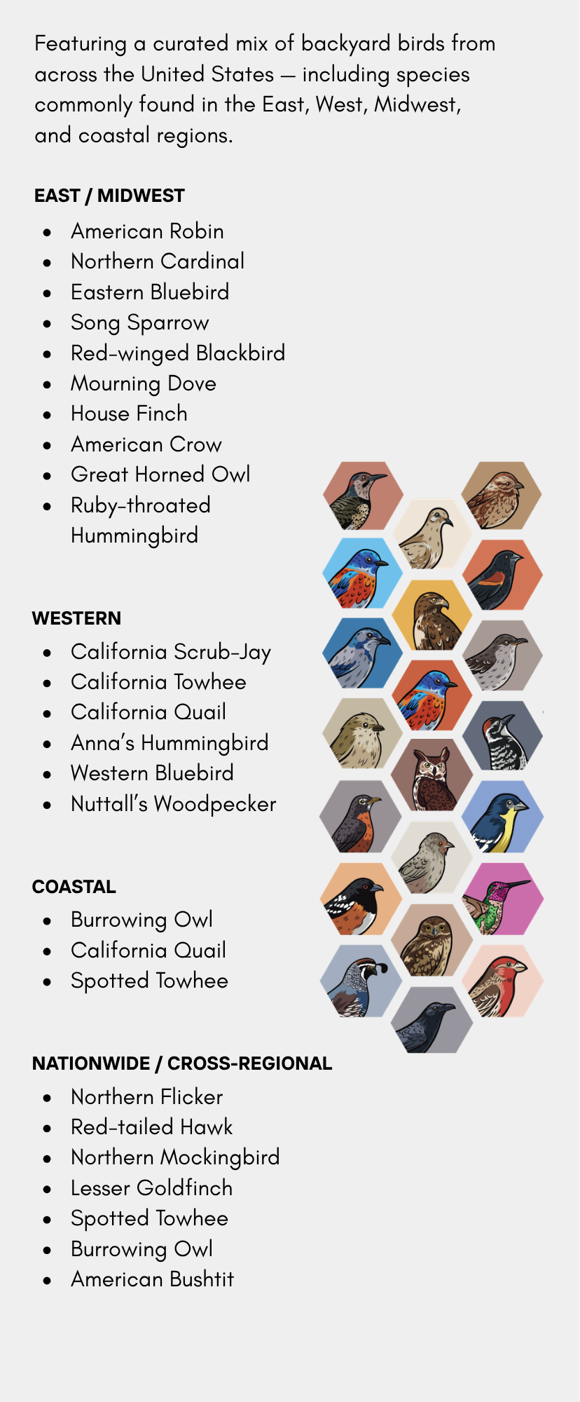 The Spotter Tumbler — Backyard Birds of the USA