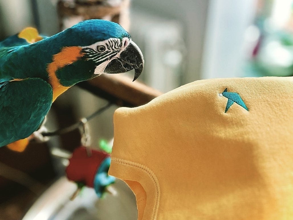 A close-up lifestyle shot of a blue-and-yellow macaw parrot perched on the left, looking at a mustard yellow garment with a small blue bird logo on the shoulder.