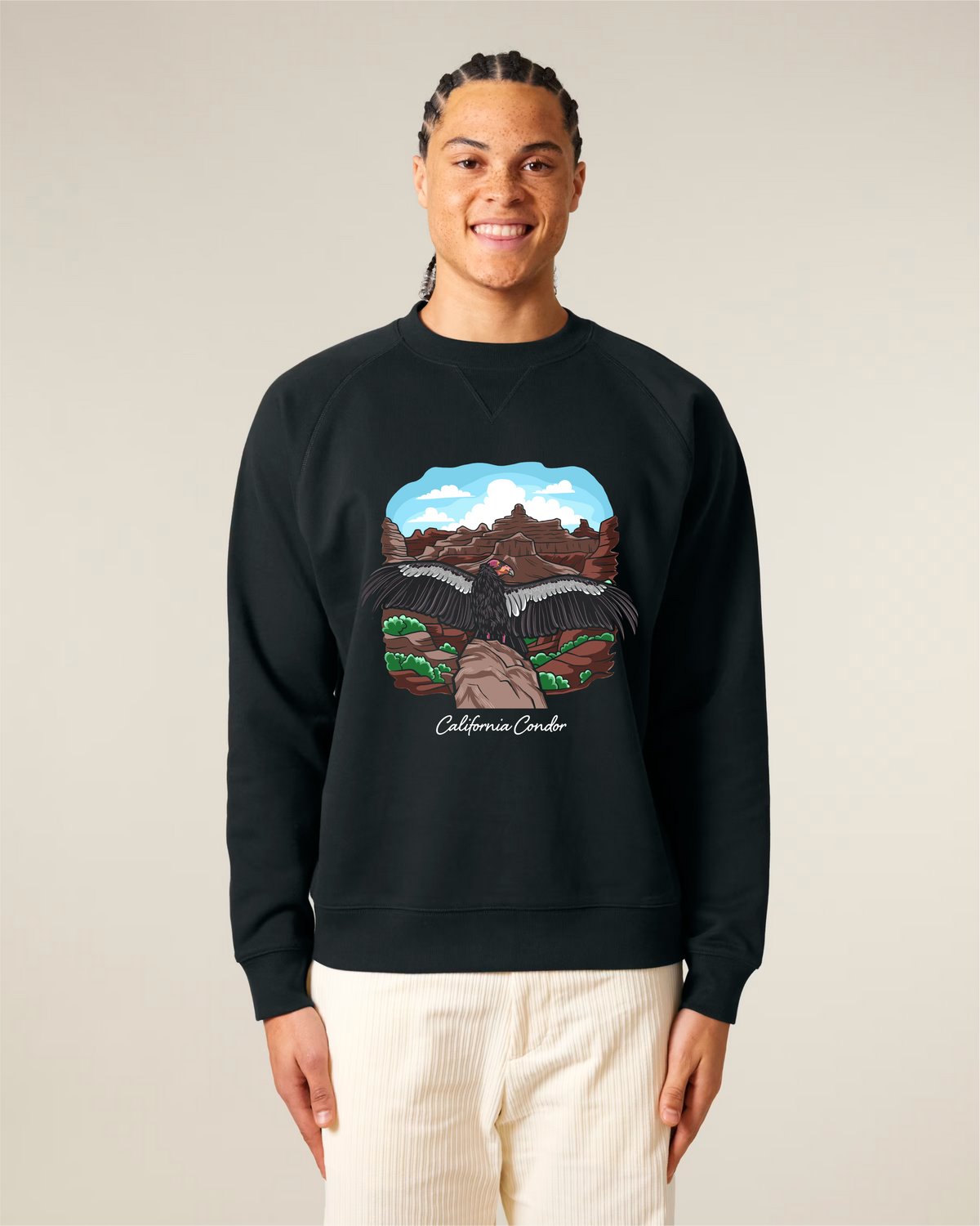 California Condor — Organic Cotton Blend Raglan Sweatshirt
