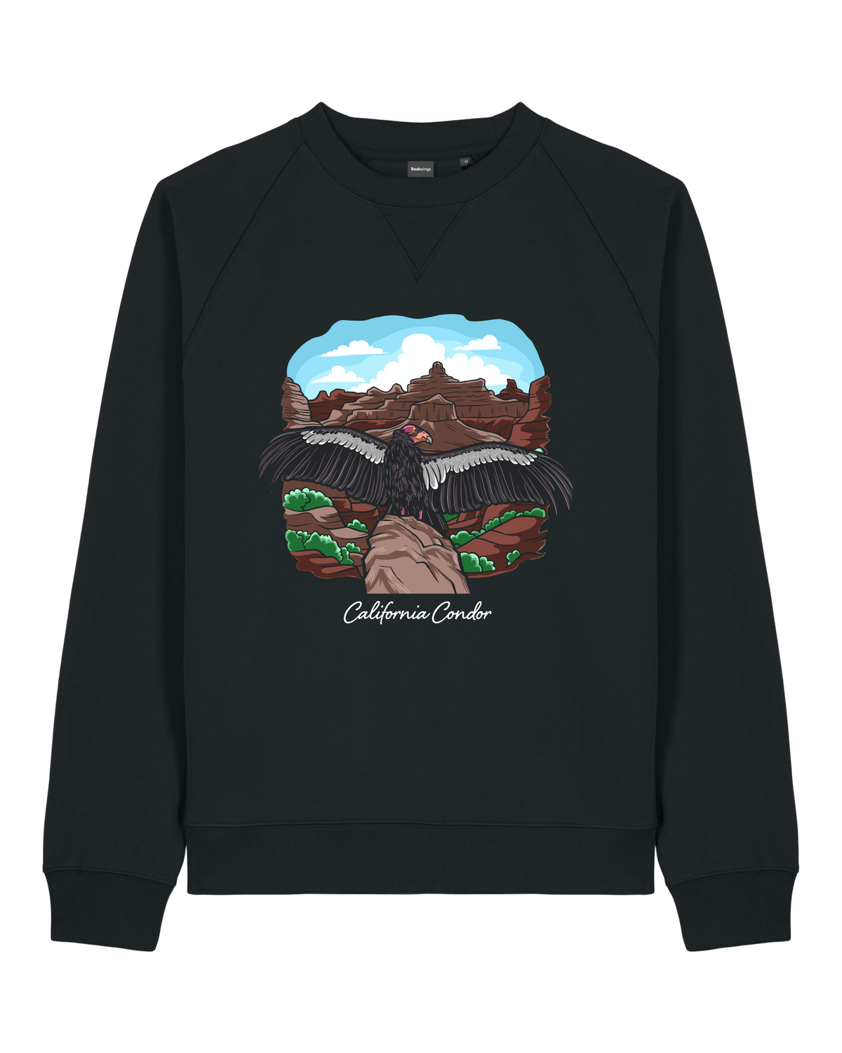 California Condor — Organic Cotton Blend Raglan Sweatshirt