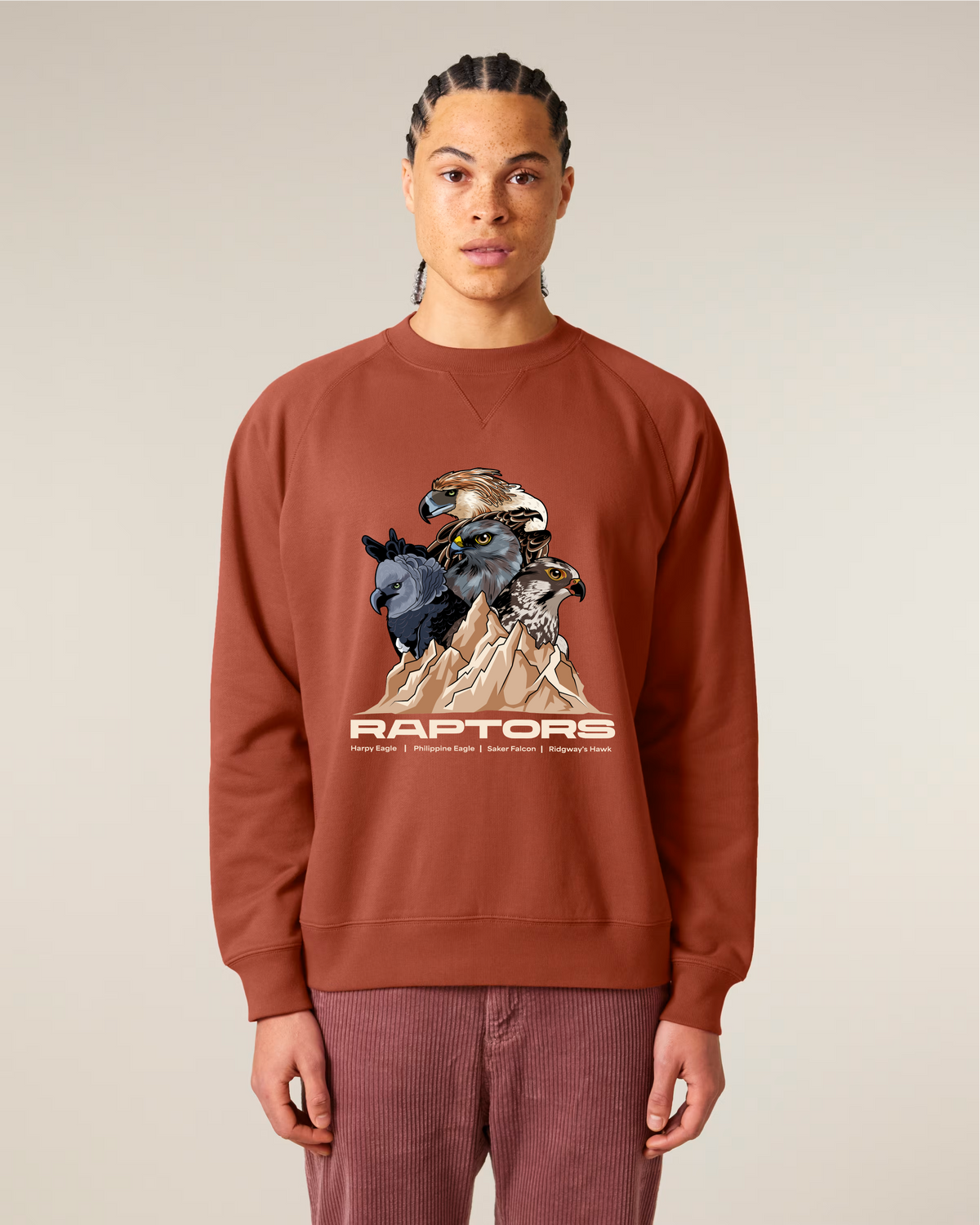 Endangered Raptors — Organic Cotton Blend Raglan Sweatshirt