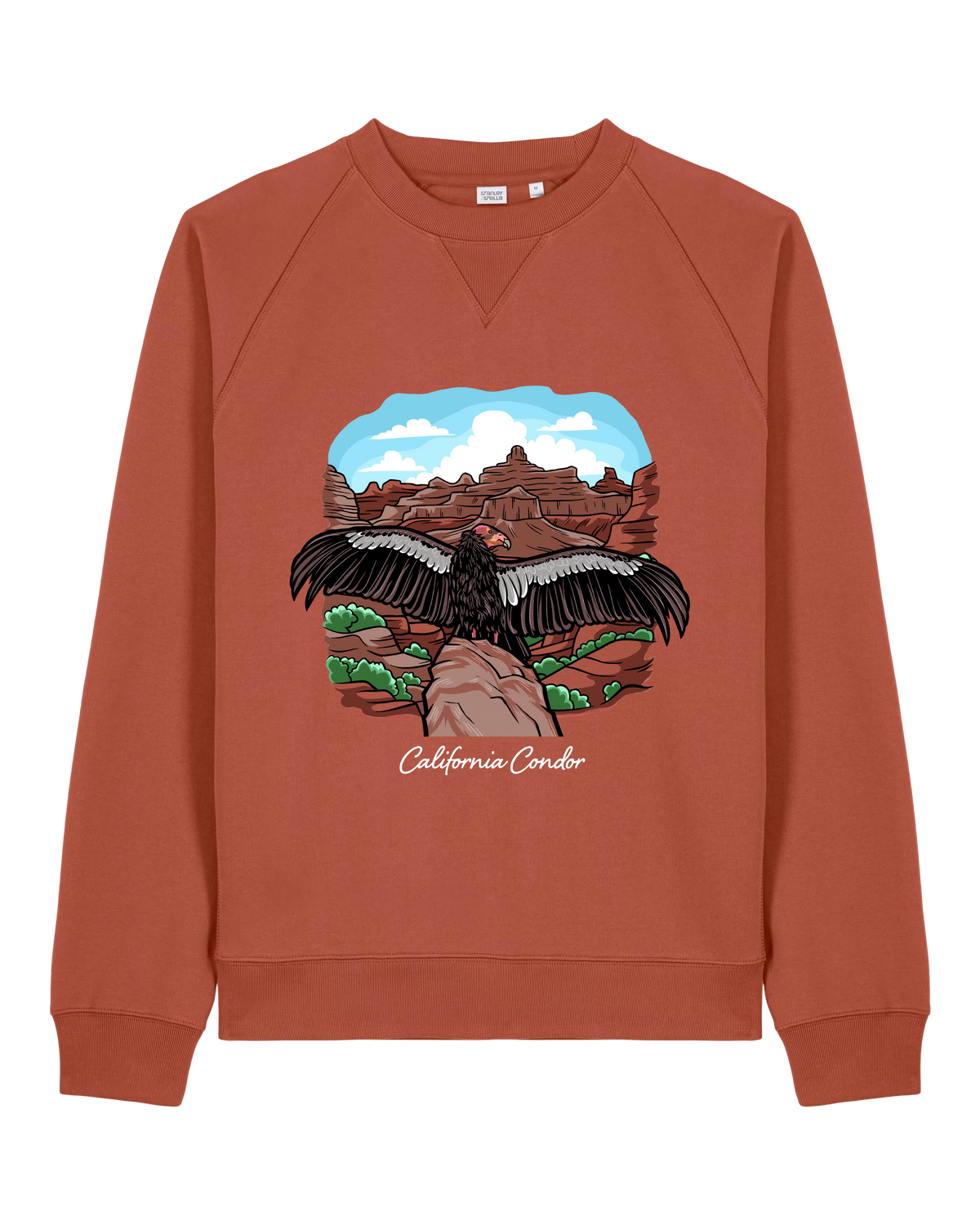 California Condor — Organic Cotton Blend Raglan Sweatshirt