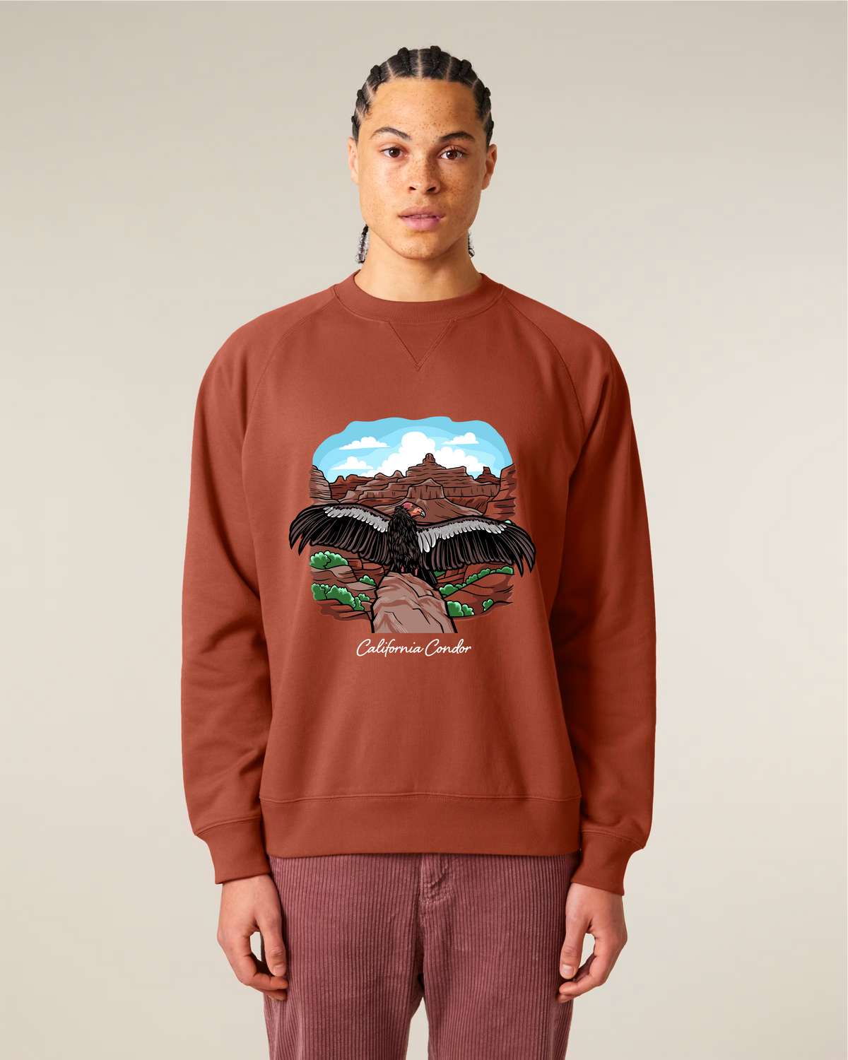 California Condor — Organic Cotton Blend Raglan Sweatshirt