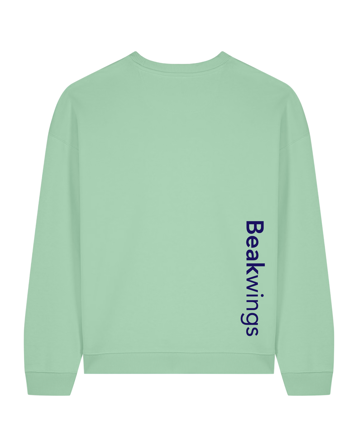Hummingbirds — Organic Cotton Blend Oversized Sweatshirt