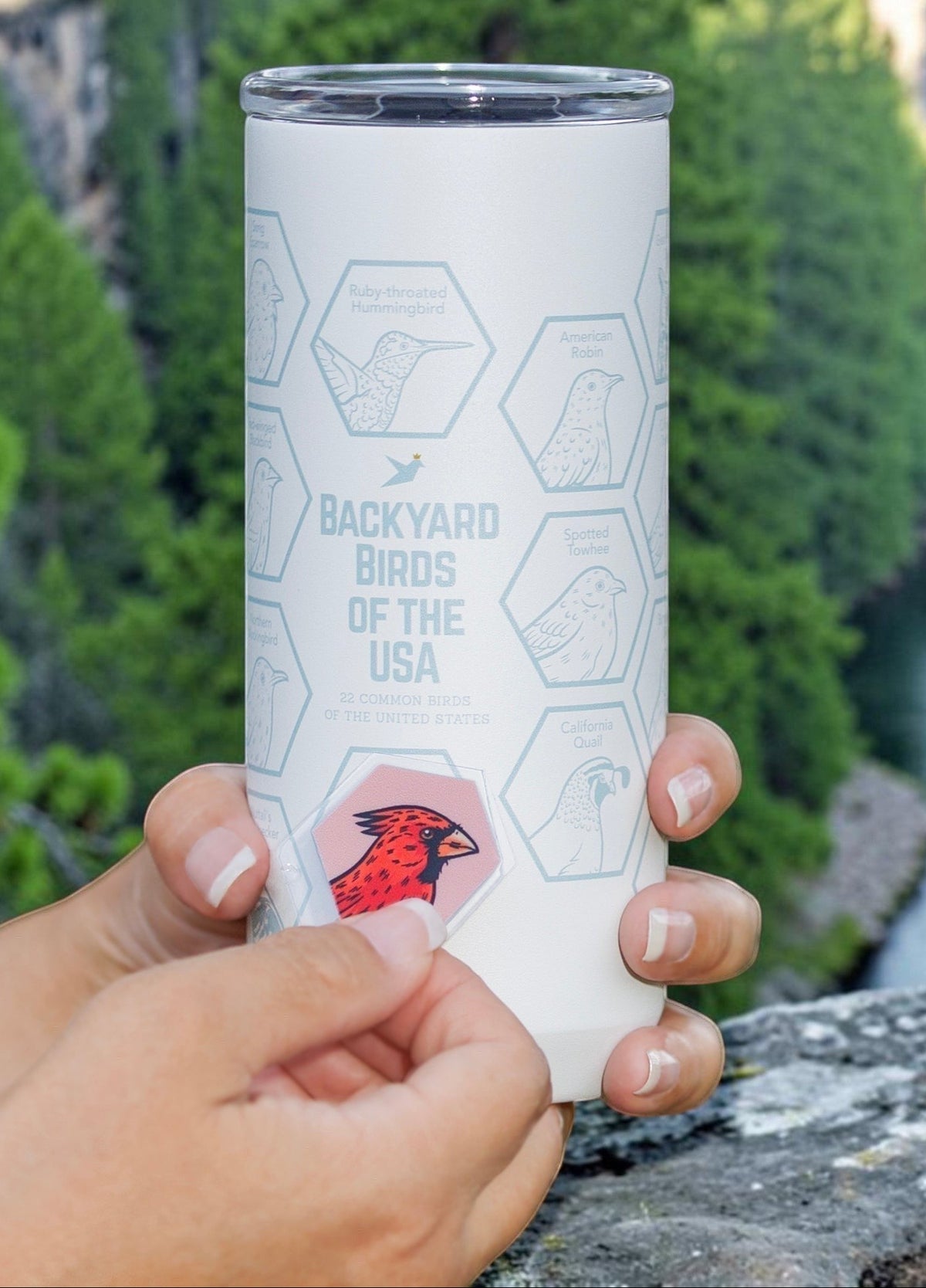 Beakwings white stainless steel Spotter Tumbler with laser-engraved bird hexes being filled with a cardinal sticker.