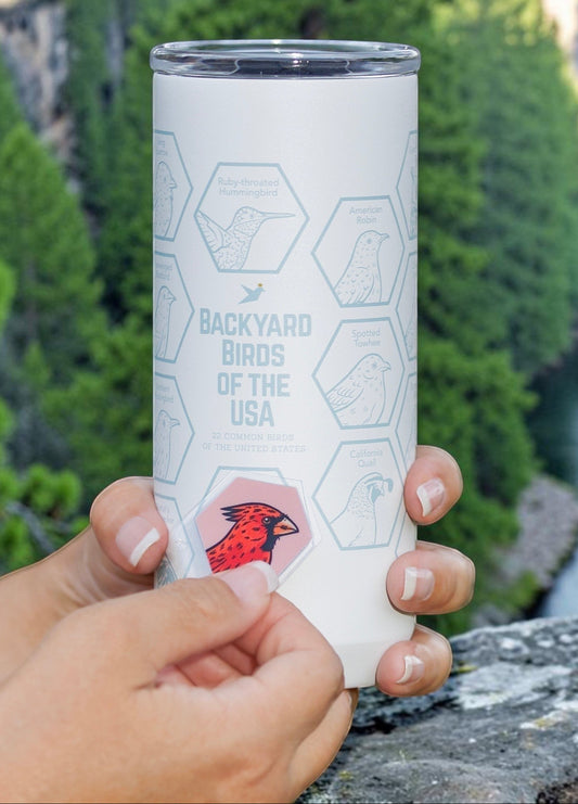 Beakwings white stainless steel Spotter Tumbler with laser-engraved bird hexes being filled with a cardinal sticker.