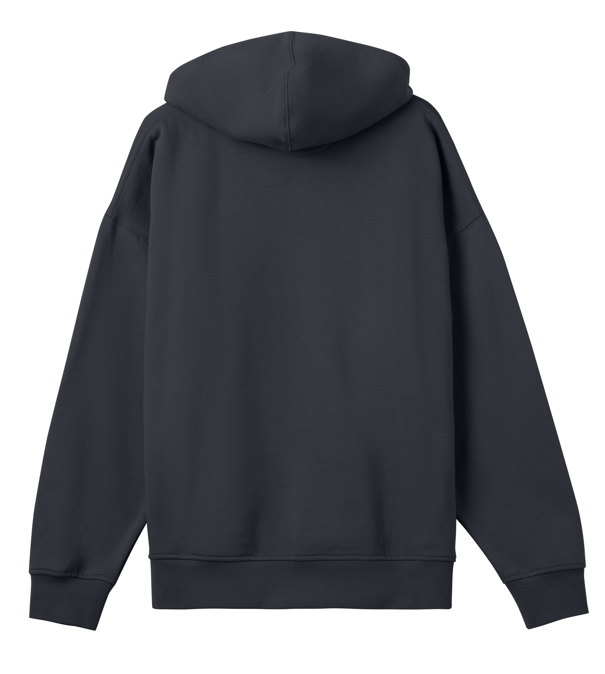 Raptors - Organic Boxy Men's Hoodie - Beakwings