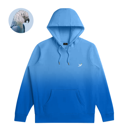 Ombre discount hollister hoodie